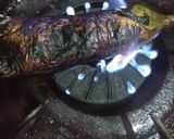 Foto langkah ke 7 dari resep Terong Bakar.
