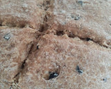Foto del paso 14 de la receta: Pan Integral de Aceitunas Negras