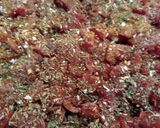 A picture of step 2 of Pizza Casserole.