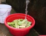 Hình bước làm 2 của món Canh Bon món ngon của người Tây Bắc