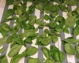 Foto del passaggio 1 della ricetta Pesto