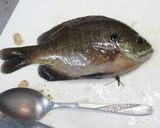 A picture of step 1 of Bluegill Simmer.