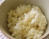 A picture of step 4 of 10 Minute Recipe! Rice in Ginger Broth.