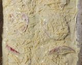 Foto del paso 6 de la receta: Torta de fiambre licuada con masa de perejil