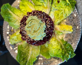 Foto del paso 5 de la receta: Tartar de remolacha y aguacates con mahonesa de aguacates