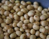 A picture of step 2 of Boiled Roasted Soybeans.