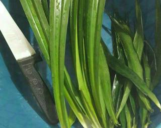 Cendol Lembut nan Nikmat dan Sehat - Step 1