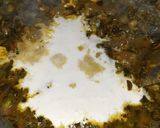 A picture of step 4 of Methi Matar Paneer.