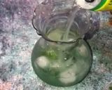 Mint lemonadematakin girki8 hoto