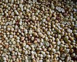 Foto langkah ke 1 dari resep Ide Jualan | Bumbu Pecel Tahan 6 Bulan.