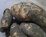 Foto del paso 1 de la receta: Ñoquis de papa