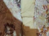 بريوش رولي محشي بالشوكولاته