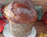 Foto del paso 6 de la receta: Panettone clásico -amasado en panificadora-