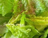 A picture of step 2 of Lettuce Chips 🥗 🥬.