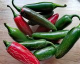 Jalapeno poppers (sajtkrémmel töltött jalapeno, rántva) recept fázis 1 fotója