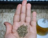 صورة لخطوة 2 من وصفة مشروب اليانسون بالكمون