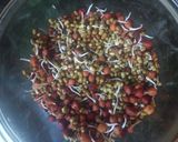 A picture of step 3 of Sprouts chat.