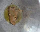 ভোগের লাবড়া (Bhoger Labra recipe in bengali) রেসিপি ধাপ - 5 ছবি
