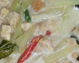 Foto langkah ke 5 dari resep Sayur Tempe dan Labu Siam Tauco Santan.