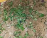 A picture of step 6 of Shami kabab.