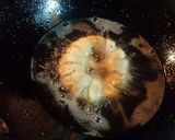 A picture of step 10 of Chinese samosa.