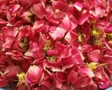 A picture of step 1 of Rose Tea.