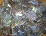 Foto del paso 2 de la receta: Cecina con nopales a la Mario, s