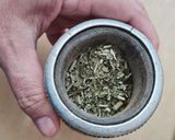 Foto del paso 3 de la receta: Tereré de matcha 🍵 enlazando infusiones, rituales, culturas: guaraní - nipona 🧉