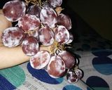 Foto langkah ke 2 dari resep Manisan Rambutan.