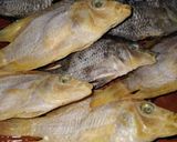 Foto langkah ke 6 dari resep Ikan asin rumahan.