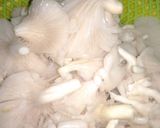 Hình bước làm 2 của món Canh Cải Thìa Nấu Nấm Bào ngư