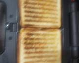 ગ્રીલ સેન્ડવીચ (Grill Sandwich Recipe In Gujarati) રેસીપી સ્ટેપ4ફોટો