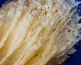 A picture of step 2 of No-Knead Bread Made with Extra Sour Yogurt.