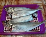 Foto del paso 1 de la receta Salazón de pescados