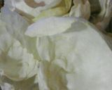 Foto del paso 2 de la receta: Niño envuelto de pollo con mucho sabor