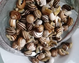 Foto del paso 2 de la receta: Cabrillas en tomate fáciles