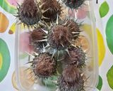 Foto del paso 1 de la receta Líquido natural a base de pétalos de cardo para hacer quesos