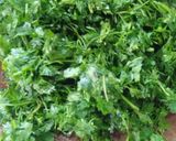 खमंग कोथिंबिर वडी (kothimbir wadi recipe in marathi) रेसिपी स्टेप 1 फोटो