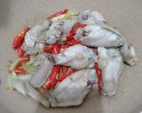Foto langkah ke 4 dari resep Ayam kecap Cabe.