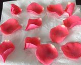 Foto del paso 2 de la receta Pétalos de rosa cristalizados