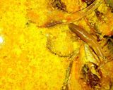 A picture of step 3 of Bhapa Ilish/ STEAMED ILISH WITH FILTERED MUSTARD PASTE & COCONUT.