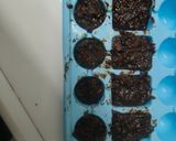 A picture of step 8 of Anjeer Choco Bites.