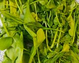 स्वादिष्ट पालक पनीर (swadist palak paneer recipe in Hindi) रेसिपी चरण 1 फोटो