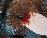 Foto langkah ke 2 dari resep Bolu Caramel Aka Sarang Semut Versi Mini.