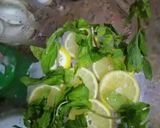 صورة لخطوة 1 من وصفة عصير الانتعاش 😋