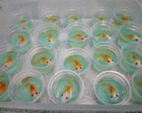 Foto langkah ke 5 dari resep puding koi.