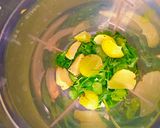 A picture of step 2 of Tropical Glow Green Elixir.
