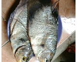 Foto langkah ke 1 dari resep Ikan gurame bakar.