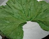 A picture of step 2 of Pabda Paturi.