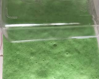 Cendol Dessert Box (tanpa whipping cream) - Step 8